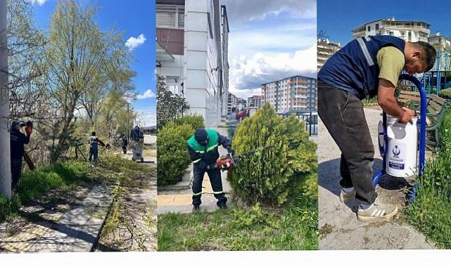 Takımlardan Kapsamlı Çalışma