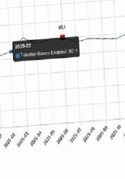 Tüketici İnanç Endeksi, Haziran 2026