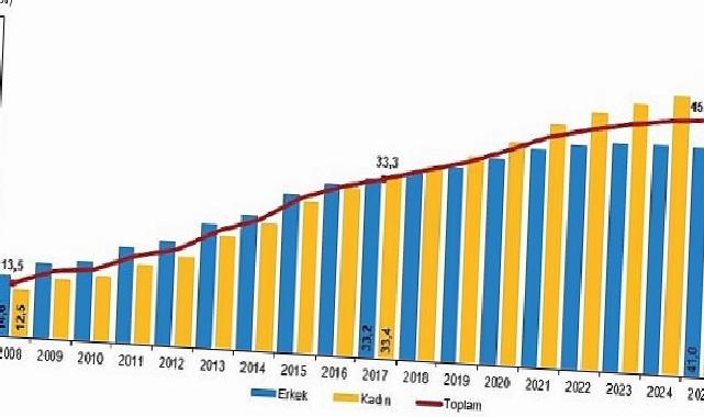 Ulusal Eğitim İstatistikleri, 2025