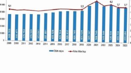 Vefat ve Mevt Sebebi İstatistikleri, 2025