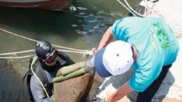 Yeni Foça’da denizden çıkanlar şaşırttı