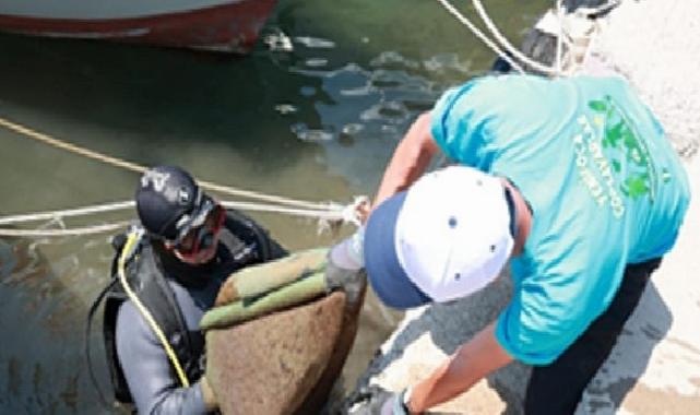 Yeni Foça’da denizden çıkanlar şaşırttı
