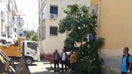 Zabıta ve Paklık İşleri Gruplarından Yaz Dönemi Kontrolü