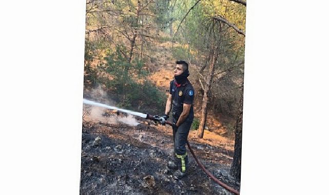 Alevlere karşı ortak çaba