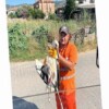 Belediye Personeli, Vazifesi Sırasında Bulduğu Yaralı Leyleğin İmdadına Yetişti