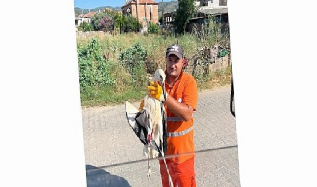 Belediye Personeli, Vazifesi Sırasında Bulduğu Yaralı Leyleğin İmdadına Yetişti