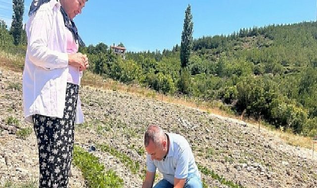 Bornova’datarıma can suyu