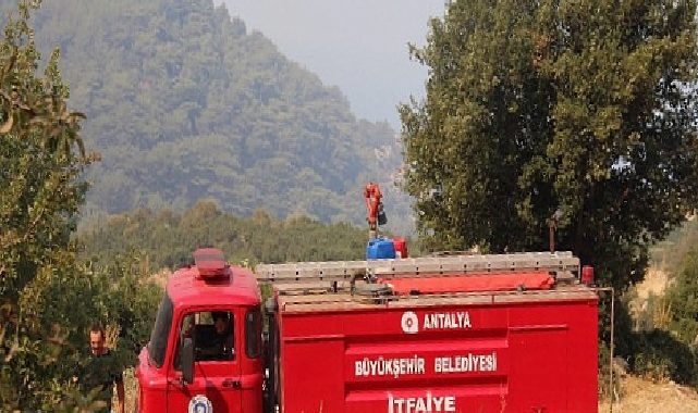 Büyükşehir grupları orman yangınına müdahale ediyor