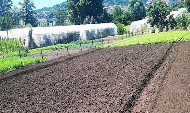 Büyükşehir her alanda çiftçinin yanında