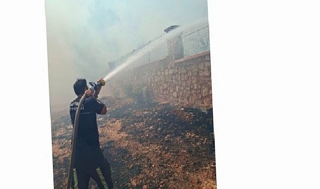 Büyükşehir İtfaiyesi’nden orman yangınına müdahale