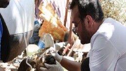 Büyükşehir yaraları sarmak için yangın bölgesinde
