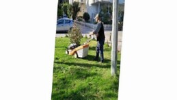 Didim Belediyesi Kent Genelinde Etraf Bakım Çalışmalarını Sürdürüyor