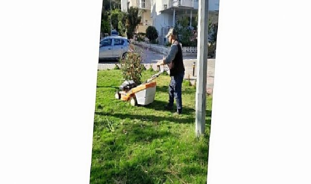 Didim Belediyesi Kent Genelinde Etraf Bakım Çalışmalarını Sürdürüyor