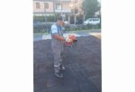 Didim Belediyesi Ortak Ömür Alanlarını İtinayla Koruyor