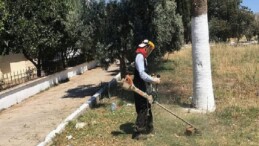Didim Belediyesi’nden Kente İhtimamlı Dokunuş: Kendi Üretimi Çiçekler Toprakla Buluşuyor
