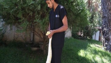 Doğal Hayat Parkı’nda dünya yılan günü aktifliği