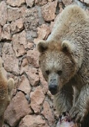 Doğal Ömür Parkı’nda serinleten öğün uygulaması