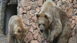 Doğal Ömür Parkı’nda serinleten öğün uygulaması