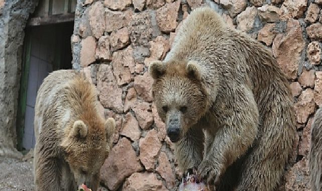 Doğal Ömür Parkı’nda serinleten öğün uygulaması
