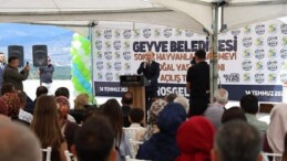 Geyve’de Sokak Hayvanları İçin de Yeni Periyot Başladı