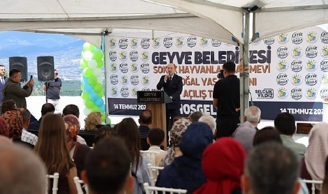 Geyve’de Sokak Hayvanları İçin de Yeni Periyot Başladı