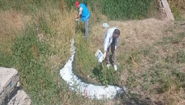 Haşerelere Karşı İlaçlama Çalışmaları Sürüyor