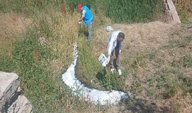 Haşerelere Karşı İlaçlama Çalışmaları Sürüyor