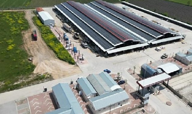 İnegöl Hayvan Pazarı 2 Ay Aradan Sonra Bu Hafta Açılıyor