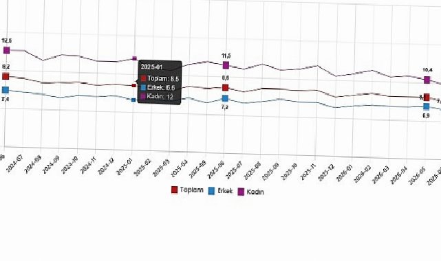 İşgücü İstatistikleri, Haziran 2026