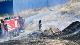 İzmir İtfaiyesi bukalemunu hayata döndürdü