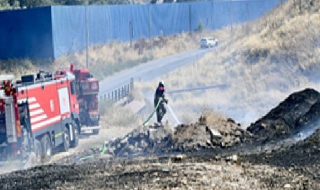 İzmir İtfaiyesi bukalemunu hayata döndürdü