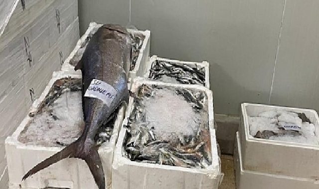 İzmir’de Yasa Dışı Su Eserleri Ticaretine Geçit Yok