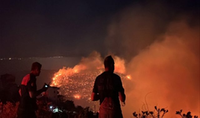 İzmir’in kuzeyinde orman yangını alarmı
