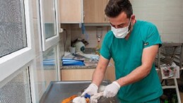Karşıyaka Belediyesi grupları can dostlar için alanda