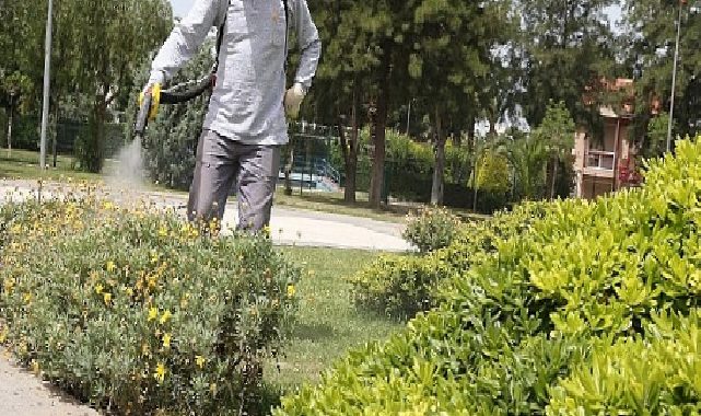 Karşıyaka Belediyesi’nden haşerelerle kararlı çaba