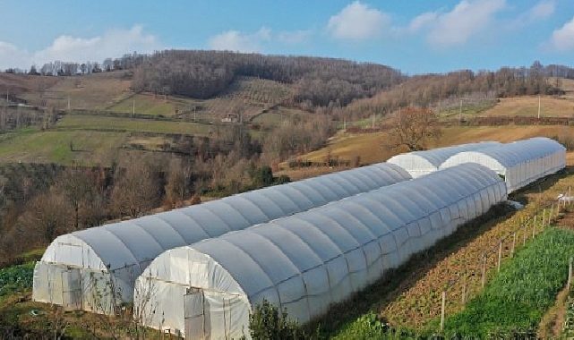 Kocaeli Büyükşehir, tarımı geleceğe taşıyor