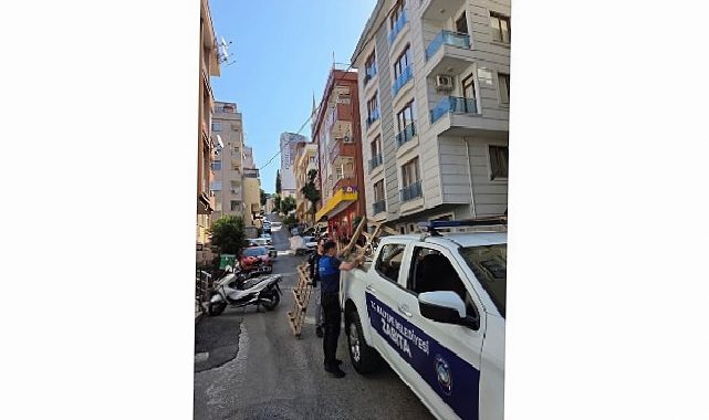 Maltepe’de Kapsamlı Kaldırım İşgali Kontrolü