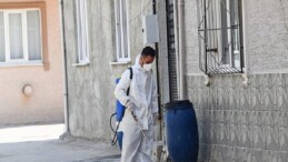 Osmangazi Belediyesi’nden Haşereye Karşı Anında Müdahale