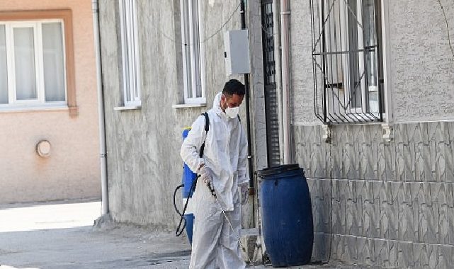 Osmangazi Belediyesi’nden Haşereye Karşı Anında Müdahale