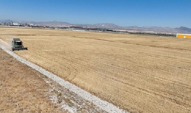 Pilot uygulamada birinci hasat yapıldı