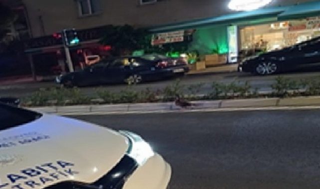 Trafiği durdurup ördeği kurtardılar