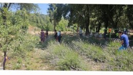 Vatandaşlar Gedelme’nin Mor Hoşluğuyla Buluştu