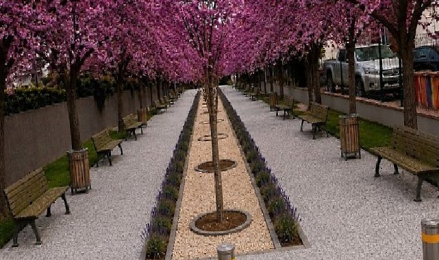 Yenişehir’de “Yeşil Sokak Dönüşümü” başlıyor