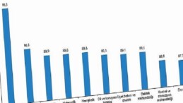 Yükseköğretim İstihdam Göstergeleri, 2025