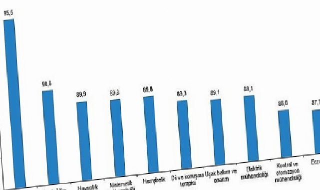 Yükseköğretim İstihdam Göstergeleri, 2025