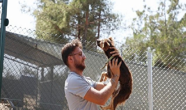 Altıntaş Doğal Hayat Alanı 8 Bin 200 Metrekareye Ulaştı
