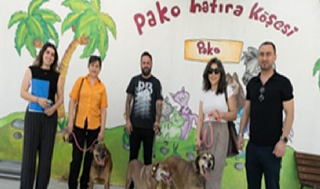Bir proje, üç dost, hiç kopmayan bağ