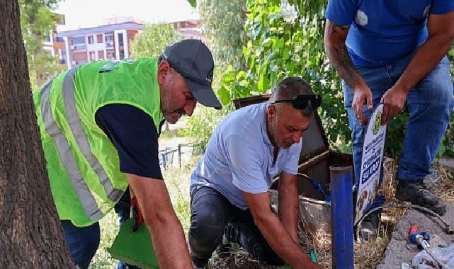 Buca Belediyesi’nden sokak hayvanlarına can suyu