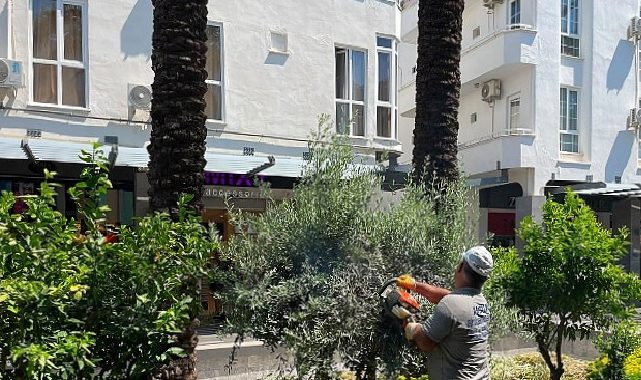 Büyükşehir takımlarından Kemer Liman Caddesi’nde çalışma