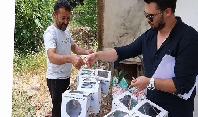 Büyükşehir’den 800 dekar toprağa yararlı böcek dayanağı